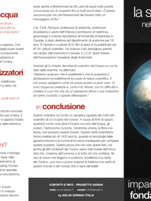 La scienza nell'Islam
