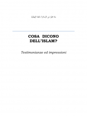 Cosa dicono dell'Islam
